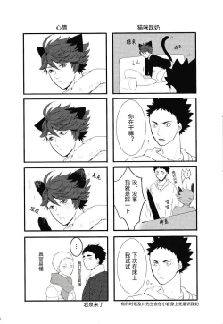 Page 15 of Iwa-chan no Neko ni Naritai | 我想成为小岩的猫