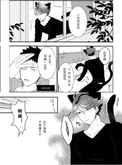 Page 6 of Iwachan no Neko ni Naritai Sairoku-Shuu | 我想成为小岩的猫 再录集