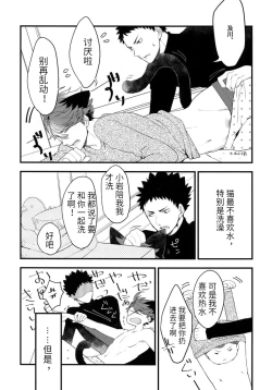 Page 8 of Iwachan no Neko ni Naritai Sairoku-Shuu | 我想成为小岩的猫 再录集