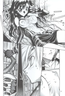 Page 14 of Ff Heaven