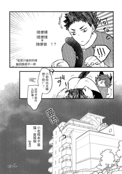 Page 31 of Iwa-chan no Neko ni Naritai 3 | 我想成为小岩的猫3