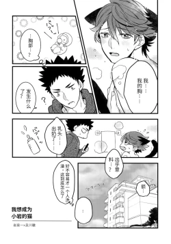 Page 4 of Iwa-chan no Neko ni Naritai 3 | 我想成为小岩的猫3