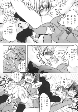 Page 18 of FLIEGERASS