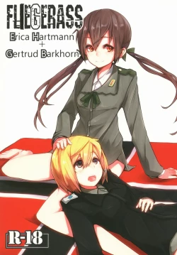 Page 1 of FLIEGERASS