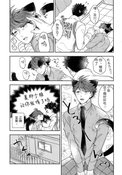 Page 5 of Iwa-chan no Neko ni Naritai 4 | 我想成为小岩的猫4