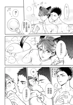 Page 17 of Iwa-chan no Neko ni Naritai 5 | 我想成为小岩的猫5