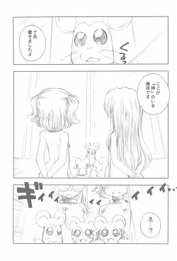 Page 17 of BATTLE FOR THE PLANET OF THE HAMS