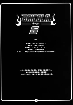 Page 32 of BRICOLA 5