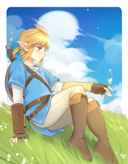 Page 7 of Zelda Summary