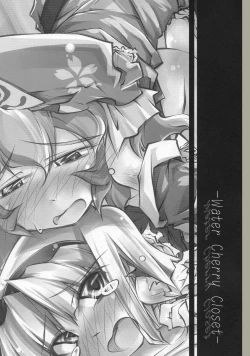 Page 2 of Water Cherry Closet