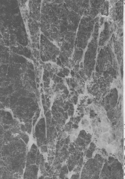 Page 2 of ff fortissimo.