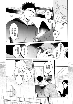 Page 21 of Iwa-chan no Neko ni Naritai| 我想成为小岩的猫