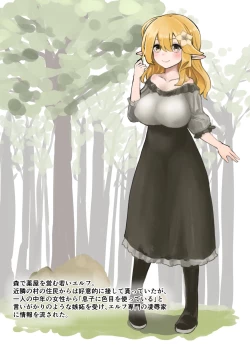 Page 11 of Elf o Okasu Hon 2