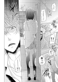 Page 14 of Ore no Bitch Kareshi ga Tomaranai