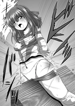 Page 37 of G Panzer 3