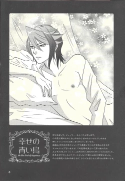 Page 3 of Shiawasenoaoitori