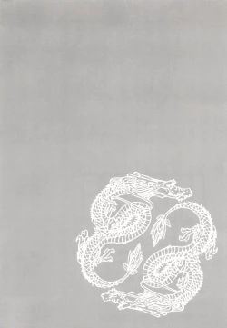 Page 4 of IL MIO DRAGO 2