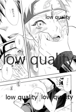 Page 24 of Sairokushuu 2