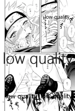 Page 25 of Sairokushuu 2