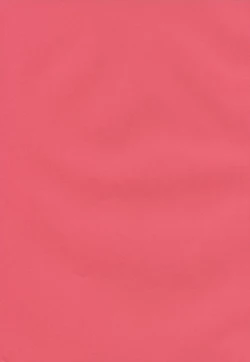 Page 2 of kurobenino rankaku