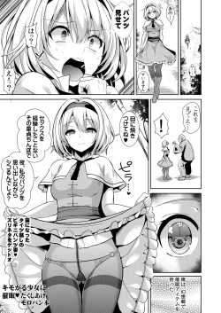 Page 29 of Tokushu Situ Tanpen Soushuuhen Touhou Shikoru! 2