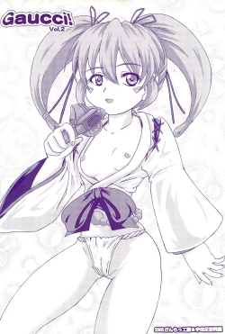 Page 28 of Gauchi vol.2