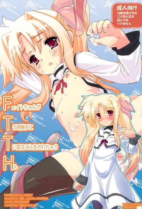 Download FTTH Fate-chan ga Toumei Shokushu ni Taihen na koto o sarechau Hon
