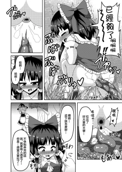 Page 10 of Reimu no Fuun na Daiihen
