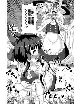 Page 12 of Reimu no Fuun na Daiihen