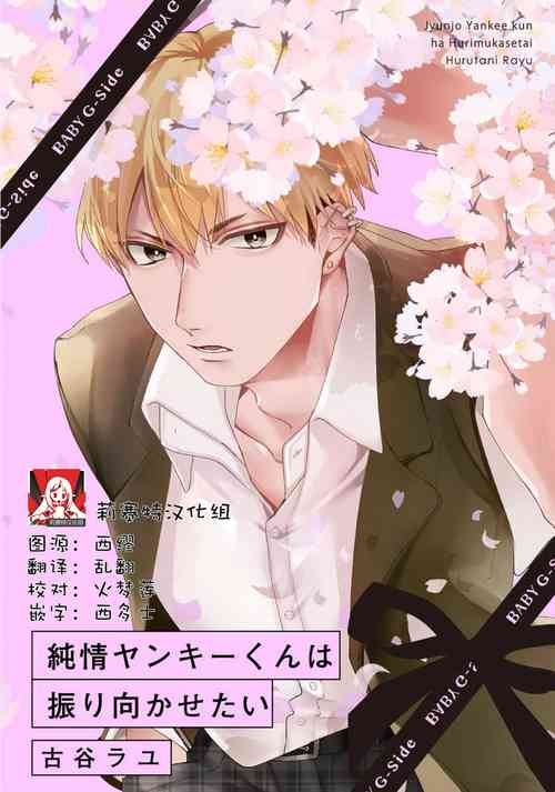 Download Jyunjo Yankee kun ha Hurimukasetai | 纯情不良君请为我转身