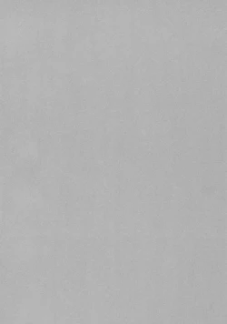 Page 11 of chili acta