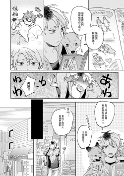 Page 12 of Kogitsune Shishou wa Hekotarenai!!! | 小狐狸老师永不气馁!!! 2-3