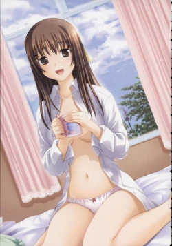 Page 10 of Shin Ringetsu Visual Fanbook