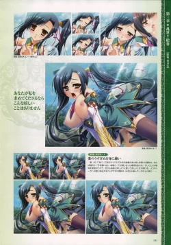 Page 134 of Shin Koihime MusouPerfect Visual Book
