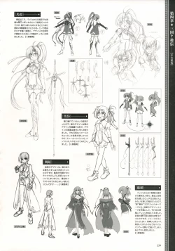 Page 242 of Shin Koihime MusouPerfect Visual Book