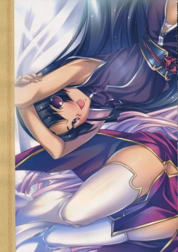 Page 25 of Shin Koihime MusouPerfect Visual Book
