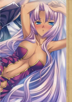 Page 26 of Shin Koihime MusouPerfect Visual Book