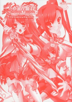 Page 3 of Shin Koihime MusouPerfect Visual Book