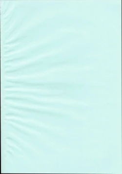 Page 3 of Funny Bunny