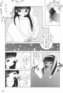 Page 25 of Kakumei Seisen Daigou