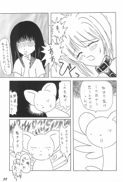 Page 35 of Kakumei Seisen Daigou