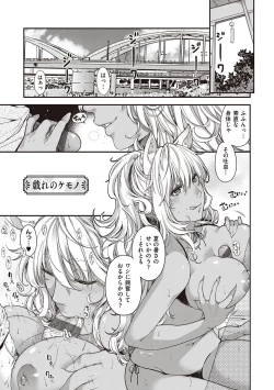 Page 62 of Meguriai no Kemono