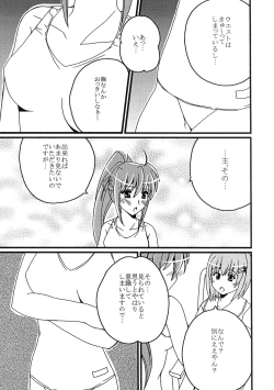 Page 19 of Mahou Shoujo Lyrical Nanoha Adult Stage 02