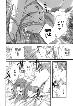 Page 13 of bird sanctuary