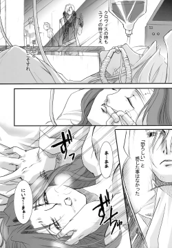 Page 17 of bird sanctuary