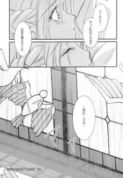 Page 23 of bird sanctuary