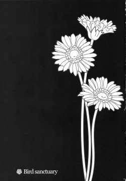 Page 2 of bird sanctuary