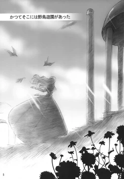 Page 4 of bird sanctuary