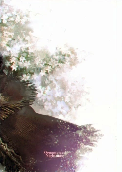 Page 22 of Ornamented Nightmare