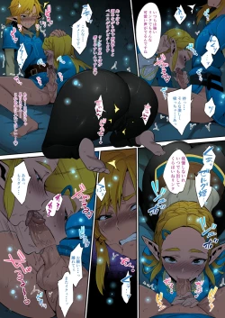 Page 11 of Hyrule Hanei no Tame no Katsudou! | Taking Steps to Ensure Hyrule's Prosperity!